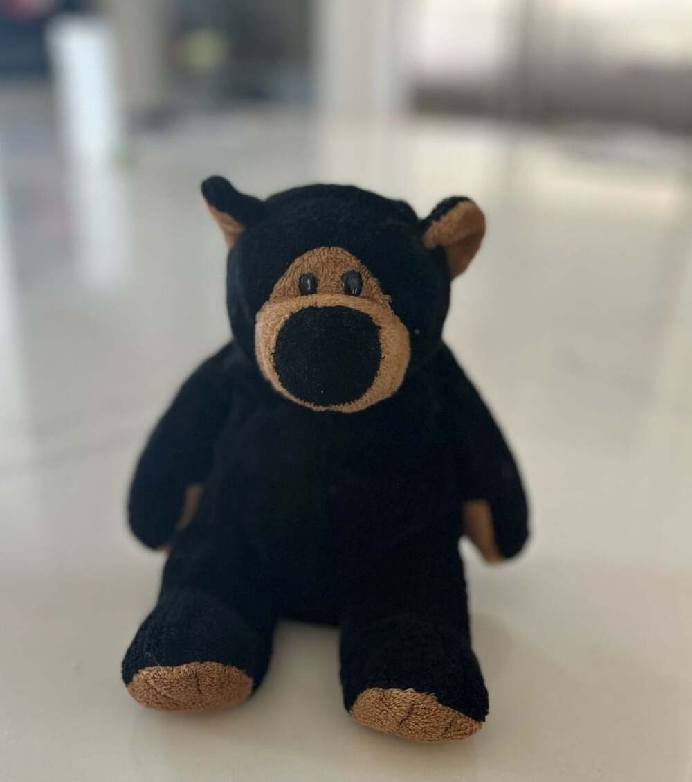 Wishpets Black Bear John 2002 Plush Stuffed Animal Toy 41052B